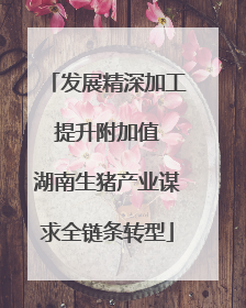 发展精深加工 提升附加值 湖南生猪产业谋求全链条转型