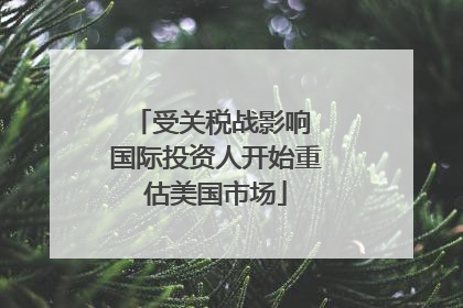 受关税战影响 国际投资人开始重估美国市场