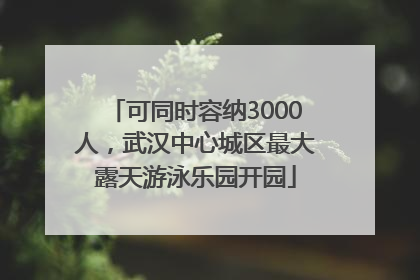 可同时容纳3000人，武汉中心城区最大露天游泳乐园开园