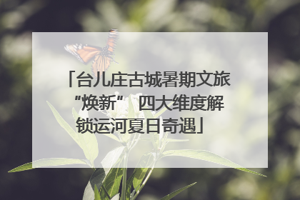 台儿庄古城暑期文旅“焕新” 四大维度解锁运河夏日奇遇