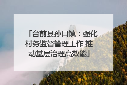 台前县孙口镇：强化村务监督管理工作 推动基层治理高效能