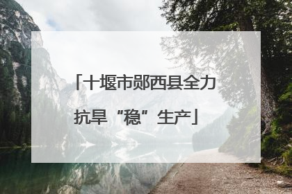 十堰市郧西县全力抗旱“稳”生产