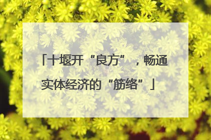 十堰开“良方”，畅通实体经济的“筋络”