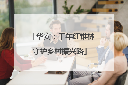 华安：千年红锥林守护乡村振兴路