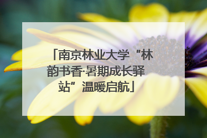南京林业大学“林韵书香·暑期成长驿站”温暖启航