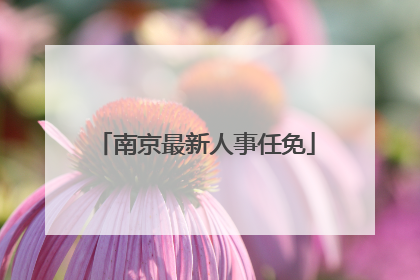 南京最新人事任免