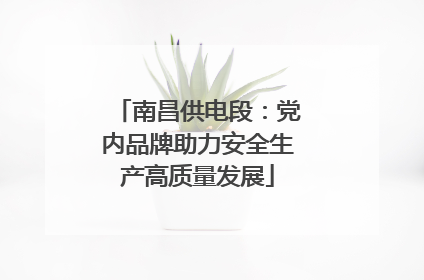 南昌供电段：党内品牌助力安全生产高质量发展