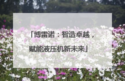 博雷诺：智造卓越，赋能液压机新未来