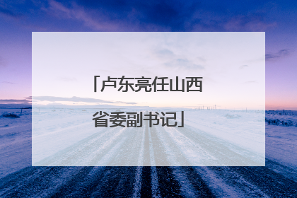 卢东亮任山西省委副书记