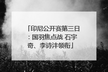 印尼公开赛第三日：国羽焦点战 石宇奇、李诗沣领衔