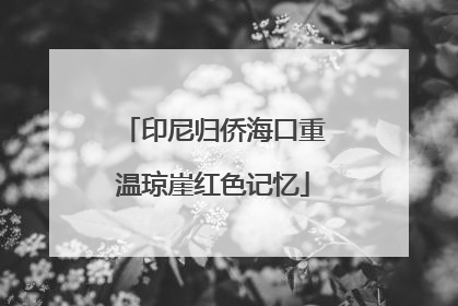 印尼归侨海口重温琼崖红色记忆