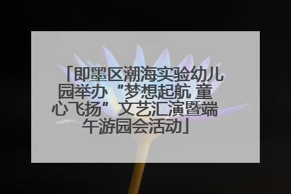 即墨区潮海实验幼儿园举办“梦想起航 童心飞扬”文艺汇演暨端午游园会活动