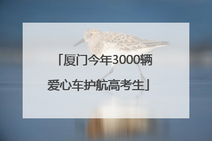 厦门今年3000辆爱心车护航高考生