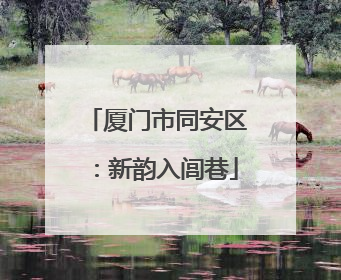 厦门市同安区：新韵入闾巷