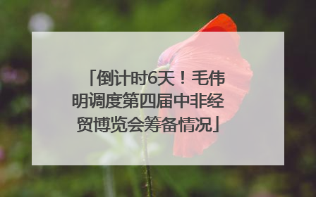 倒计时6天！毛伟明调度第四届中非经贸博览会筹备情况