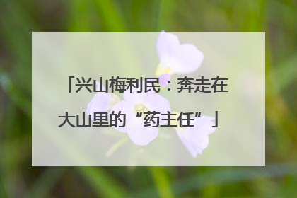 兴山梅利民：奔走在大山里的“药主任”