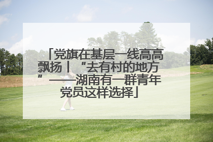 党旗在基层一线高高飘扬丨“去有村的地方”——湖南有一群青年党员这样选择