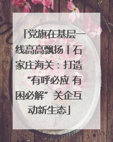 党旗在基层一线高高飘扬丨石家庄海关：打造“有呼必应 有困必解”关企互动新生态