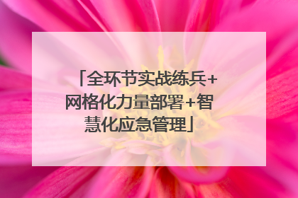 全环节实战练兵+网格化力量部署+智慧化应急管理