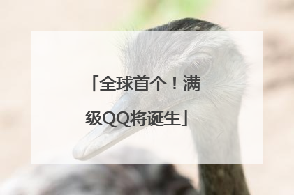 全球首个！满级QQ将诞生