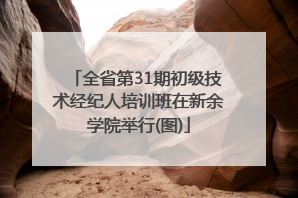 全省第31期初级技术经纪人培训班在新余学院举行(图)
