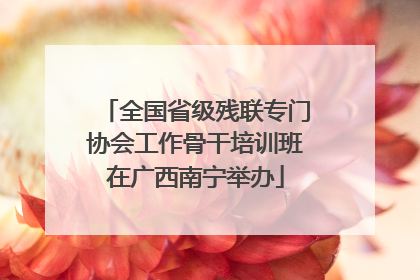 全国省级残联专门协会工作骨干培训班在广西南宁举办