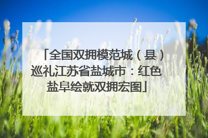 全国双拥模范城（县）巡礼江苏省盐城市：红色盐阜绘就双拥宏图