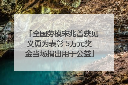 全国劳模宋兆普获见义勇为表彰 5万元奖金当场捐出用于公益