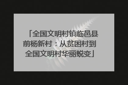 全国文明村镇临邑县前杨新村：从贫困村到全国文明村华丽蜕变