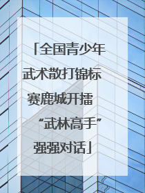 全国青少年武术散打锦标赛鹿城开擂 “武林高手”强强对话