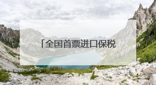 全国首票进口保税岩板在南安入仓