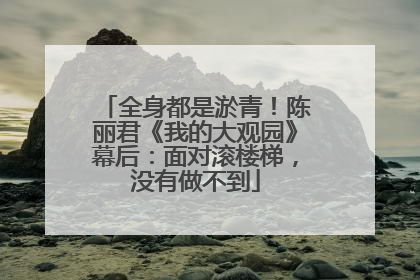 全身都是淤青！陈丽君《我的大观园》幕后：面对滚楼梯，没有做不到