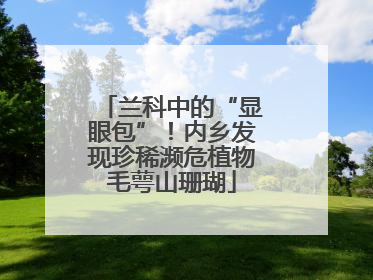 兰科中的“显眼包”！内乡发现珍稀濒危植物毛萼山珊瑚