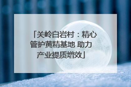 关岭白岩村：精心管护黄精基地 助力产业提质增效