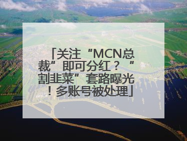 关注“MCN总裁”即可分红？“割韭菜”套路曝光！多账号被处理