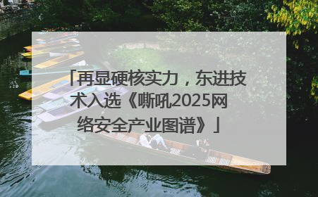 再显硬核实力，东进技术入选《嘶吼2025网络安全产业图谱》