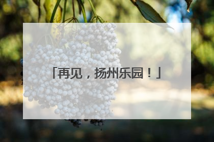 再见，扬州乐园！