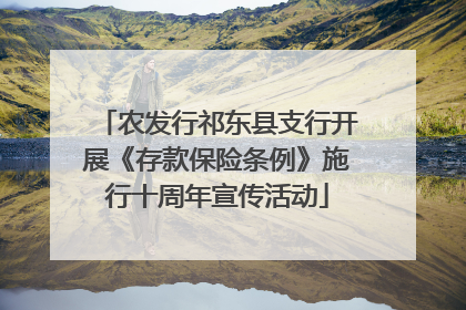 农发行祁东县支行开展《存款保险条例》施行十周年宣传活动