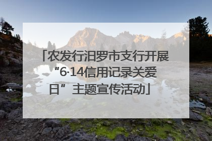 农发行汨罗市支行开展“6·14信用记录关爱日”主题宣传活动