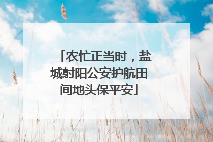 农忙正当时，盐城射阳公安护航田间地头保平安
