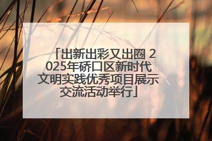 出新出彩又出圈 2025年硚口区新时代文明实践优秀项目展示交流活动举行