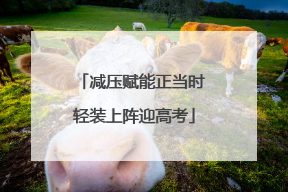 减压赋能正当时轻装上阵迎高考