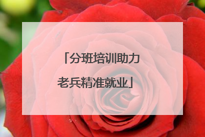 分班培训助力老兵精准就业