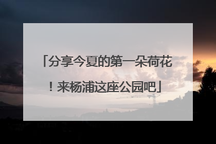 分享今夏的第一朵荷花！来杨浦这座公园吧