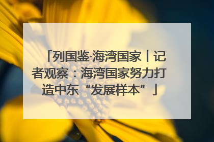 列国鉴·海湾国家丨记者观察：海湾国家努力打造中东“发展样本”