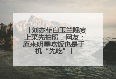 刘亦菲白玉兰晚宴上菜先拍照，网友：原来明星吃饭也是手机“先吃”