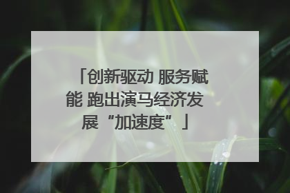 创新驱动 服务赋能 跑出演马经济发展“加速度”