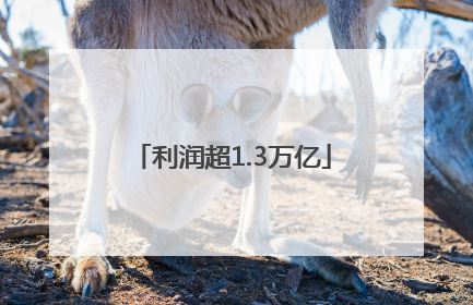 利润超1.3万亿