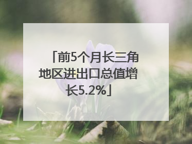 前5个月长三角地区进出口总值增长5.2%