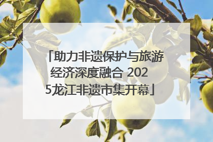 助力非遗保护与旅游经济深度融合 2025龙江非遗市集开幕